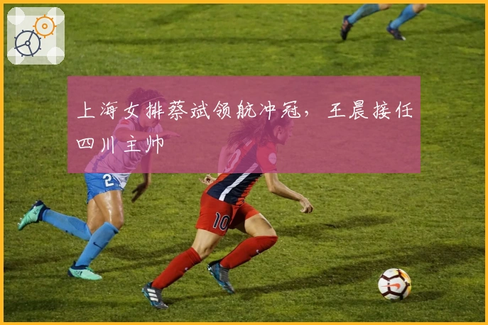 上海女排蔡斌领航冲冠，王晨接任四川主帅