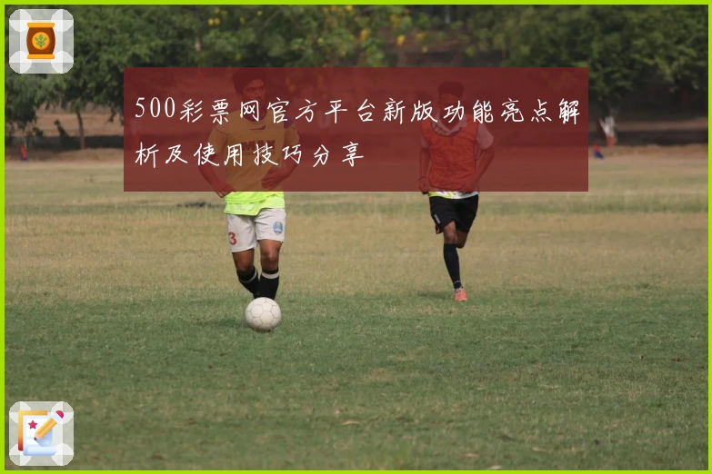 500彩票网官方平台新版功能亮点解析及使用技巧分享
