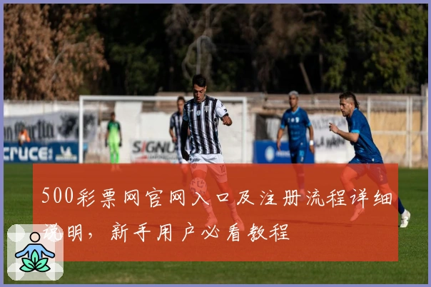 500彩票网官网入口及注册流程详细说明，新手用户必看教程